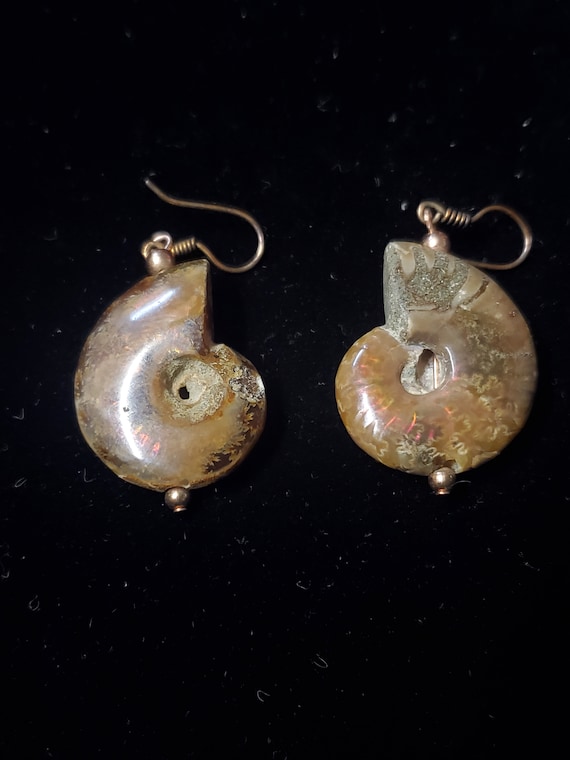 Amazing Ammolite Fossil Earrings 1.25" (Gb1)