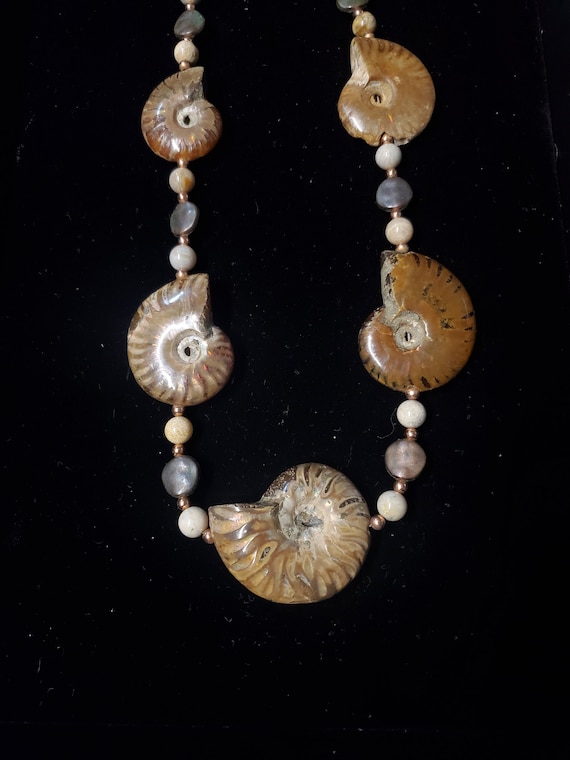 Amazing Ammolite 5 Fossil Necklace 22" (Gb1)