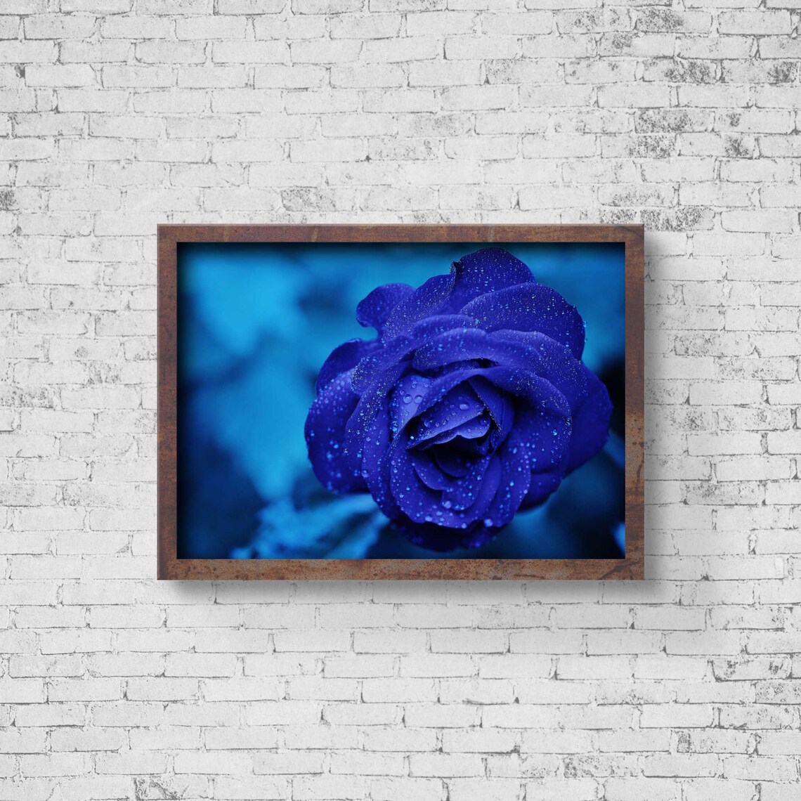 Midnightrose Flower Print Wall Art Bluerose Stretched Etsy