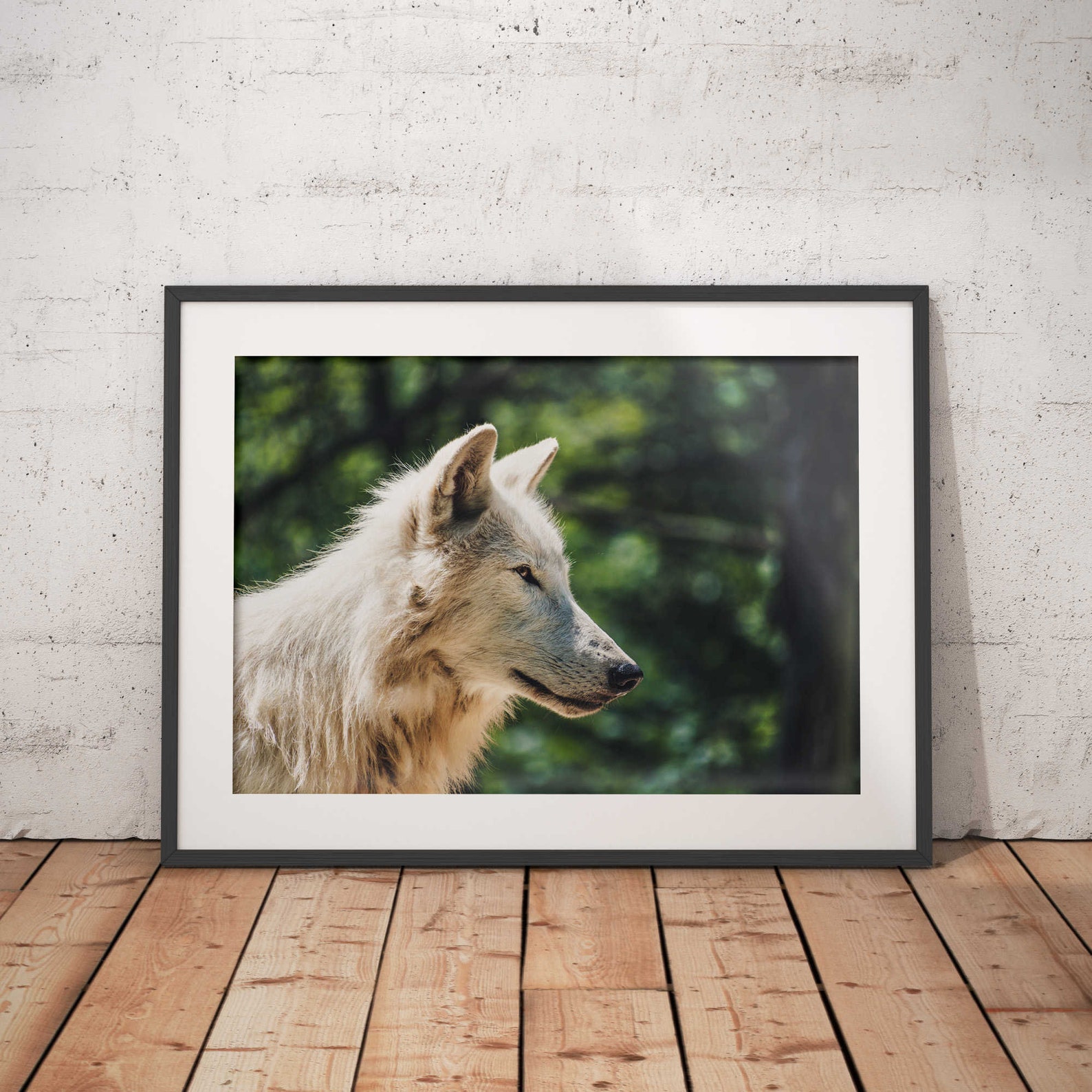 Beautiful White Wolf Framed Wall Art Office Decor Stretched Etsy