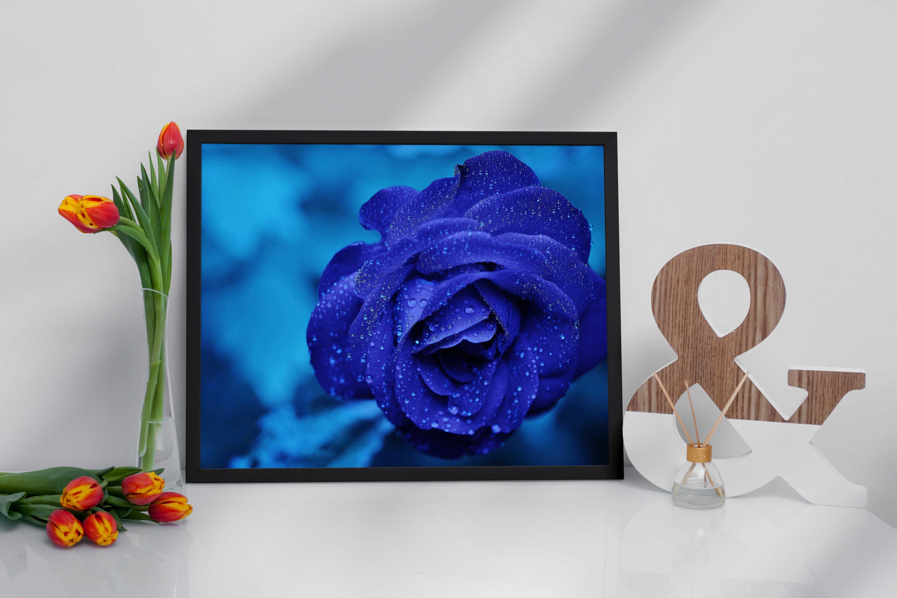 Midnightrose Flower Print Wall Art Bluerose Stretched Etsy