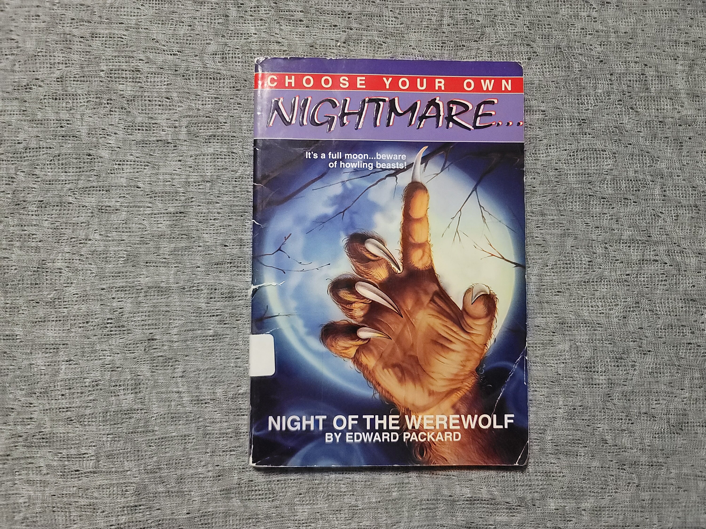 NIGHT OF THE WEREWOLF (Choose Your Own Nightmare)