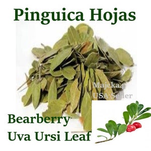 May include: Dried green Uva Ursi leaves, also known as Bearberry, for herbal tea or medicinal use. The image shows a pile of dried leaves and a small branch with red berries.