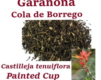 Garañona Garanona cola de borrego 1/2 oz 4 oz 1 LB Castilleja tenuiflora Painted Cup