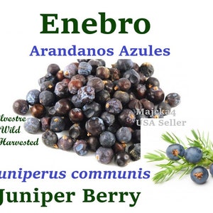 Enebro Entero 4 oz Hierbas Juniper berries Whole Juniperus communis Herbal teas