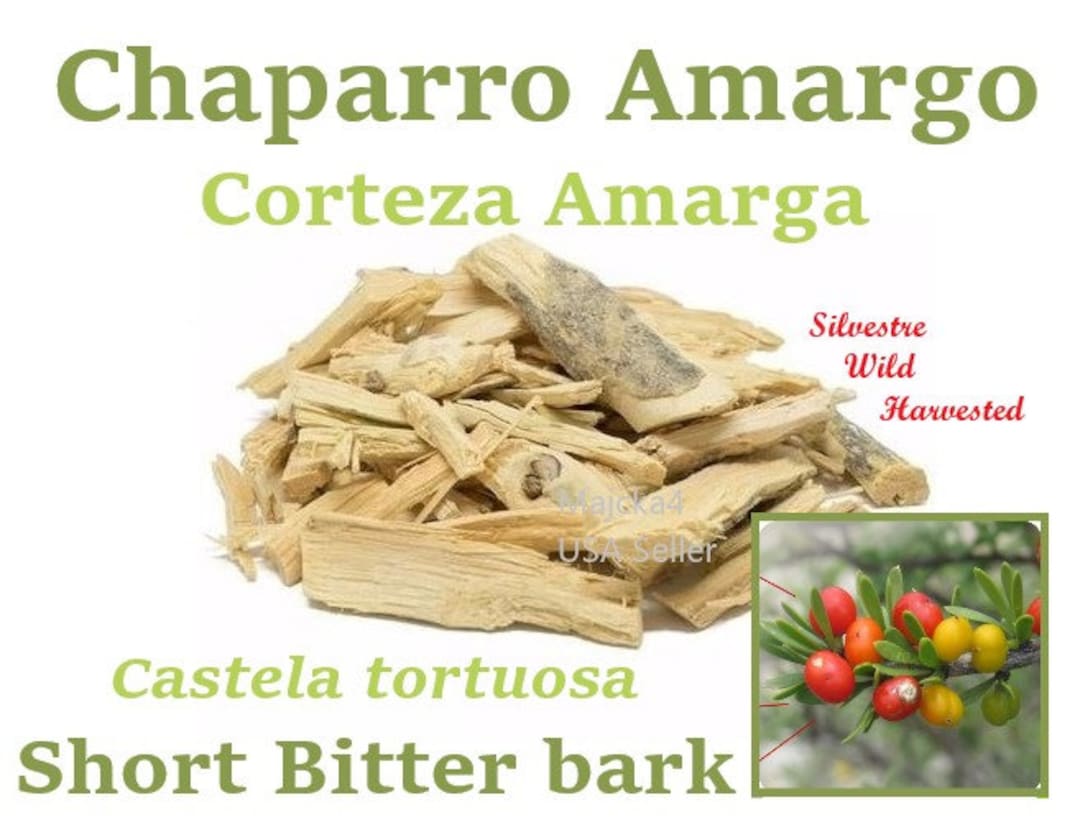 Chaparro Amargo Hierba Amarga Cymbopogon Citratus Short Bitter Herb - Etsy