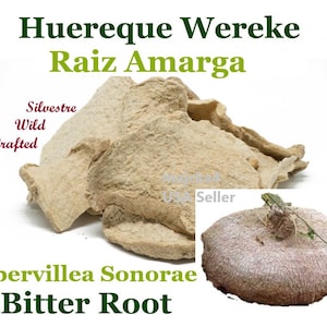 Huereque Ibervillea Sonorae hierbas Amarga wereke bitter herbs Teas