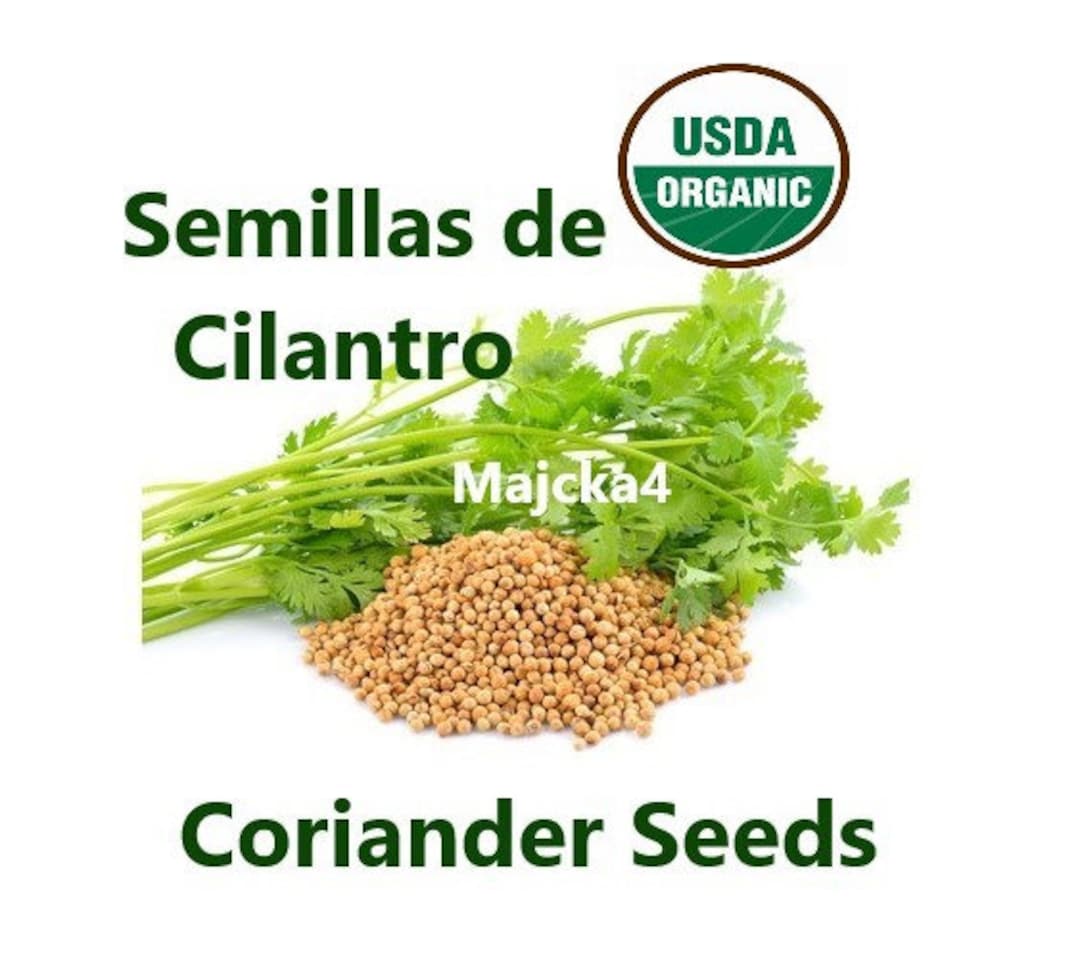 SEMILLAS De CILANTRO ORGANIC Hierbas Tes Coriander Seeds Herbal Teas Etsy