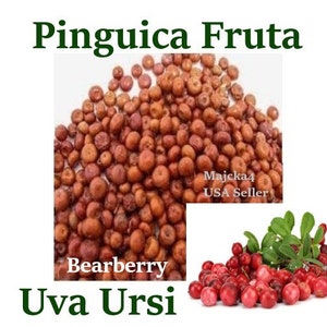 May include: Dried bearberry, also known as uva ursi, is a natural remedy. The image shows a pile of dried bearberry berries, which are small, round, and reddish-brown in color. The text "Bearberry" and "Uva Ursi" are visible below the pile of berries.