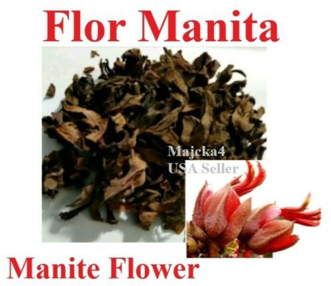 Flor Manita Chiranthodendron Pentadactylon Hierbas Manite - Etsy UK Flor Manita Chiranthodendron Pentadactylon Hierbas Manite - Etsy UK