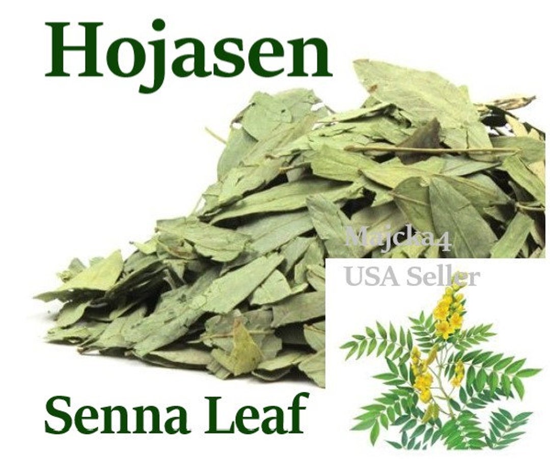 Hojasen Hoja Sen 4 Oz. Hierbas Senna Leaf Senna Alexandrina Herb Etsy