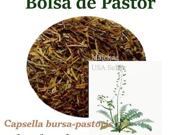 Bolsa de Pastor hierba Shepperds Purse Herb Capsella bursa-pastoris