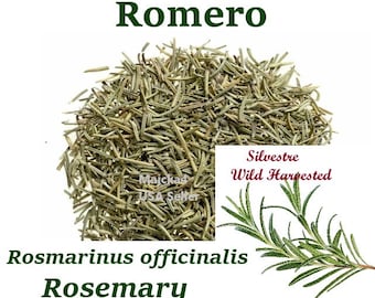 Romero Hierba Rosemary Rosmarinus officinalis tea Herb