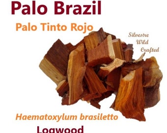 Palo Brasil palo brazil Logwood Haematoxylum brasiletto Hierbas teas Herbal