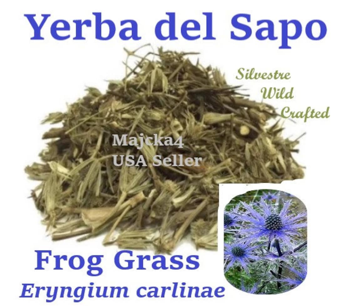 Yerba De Sapo Hierba De Sapo Eryngium Carlinae 1/2 Oz 4 Oz 1 Lb 3 Lbs