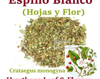 Espino blanco hojas flor 1/2 oz Hierbas Hawthorn Berry leaf Crataegus monogyna Herbal Teas