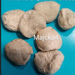 LA Almendra de Monterey México La Almendra última de las cantidades disponibles