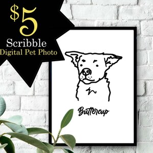 Scribble Tierportraits - DIGITALE DATEI