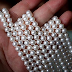 May include: Close-up of multiple strands of white pearls. The pearls are round and have a lustrous sheen. The pearls are held in a hand, showcasing their size and quality. The background is blurred, emphasizing the pearls.