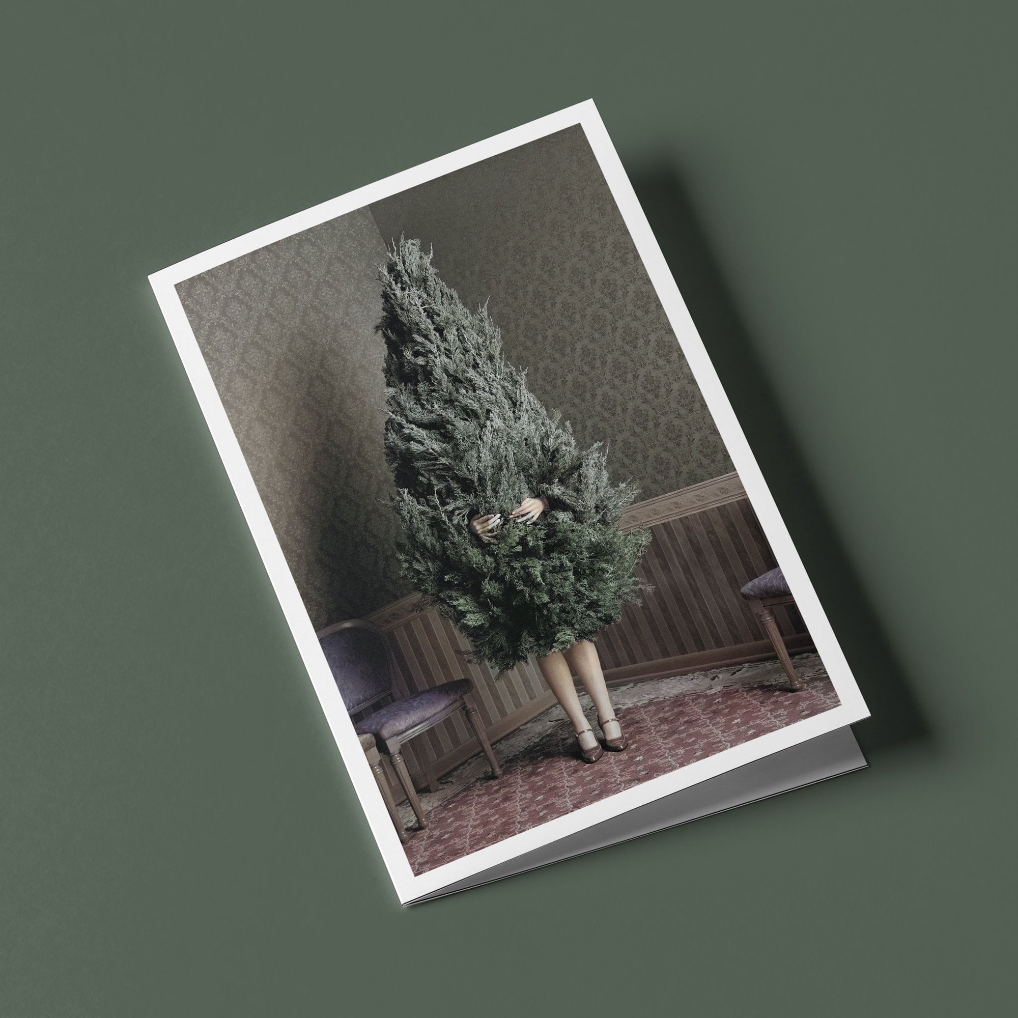 Lessons from a Christmas Tree... - Humorous Christmas Greeting Card