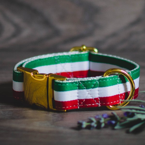 Luxury Dog Collar Etsy