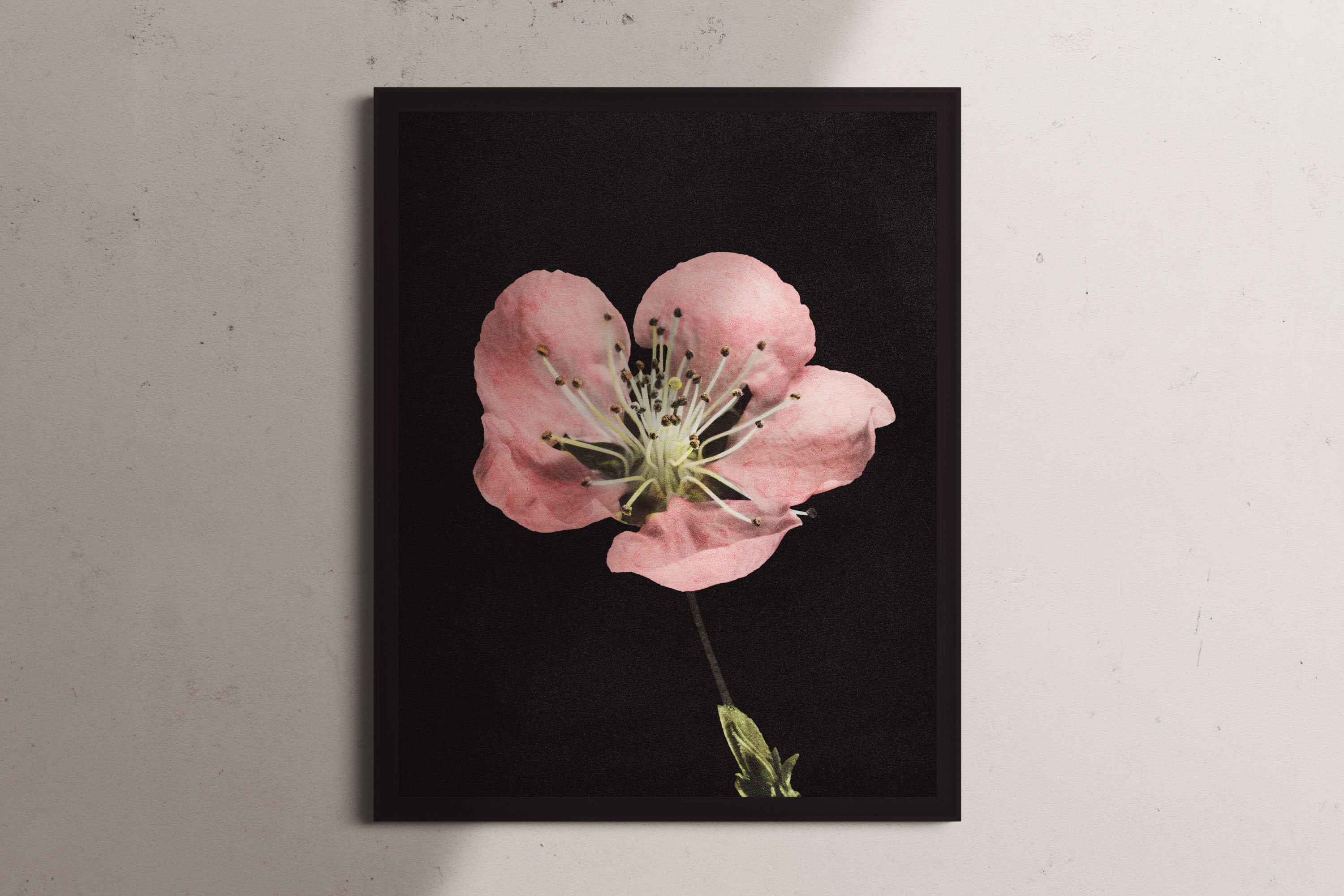 Vintage Blooming Flower Wall Art / Floral Wall Art / Vintage Floral