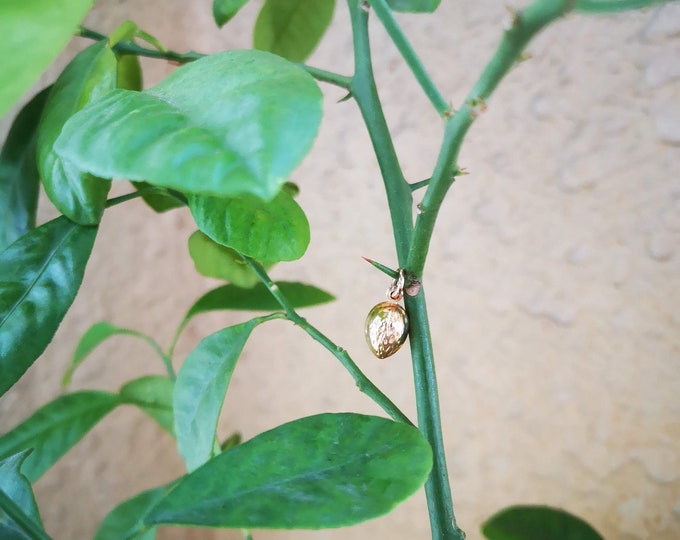 Golden Nut Pendant