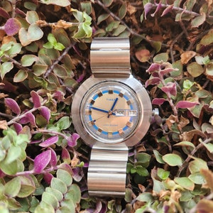 Vintage Timex Watch