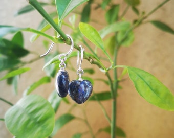 Heart Shape Lapis Lazuli Dangle Silver Earrings