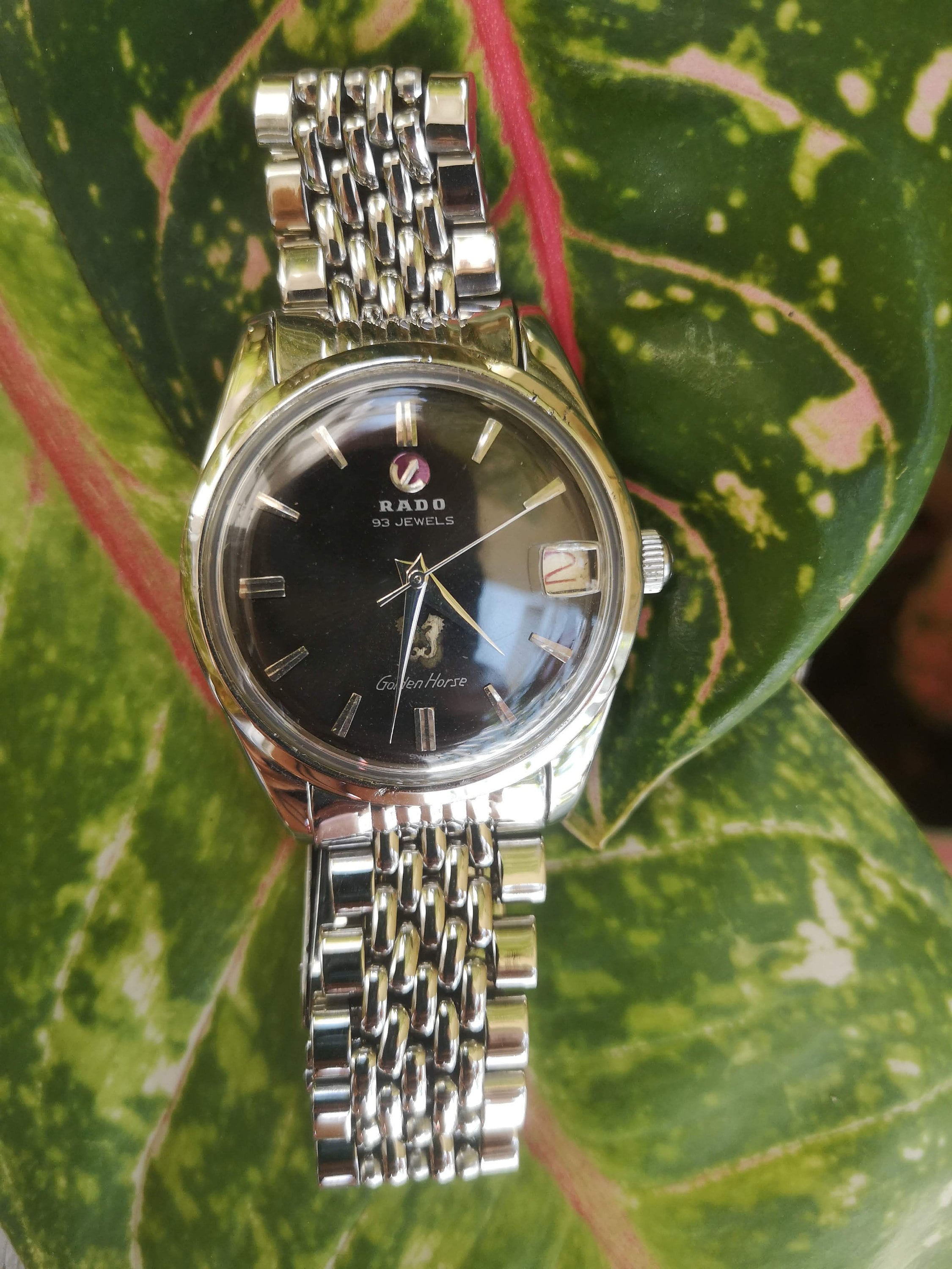 Rado golden horse vintage cheap
