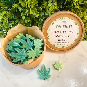 420 Cover Up Wax Melts, Funny Gag Gift, Novelty Scent