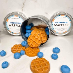 Blueberry Pecan Waffle wax melts , sweet scented melts, food shaped, perfect gifts, novelty, breakfast food,