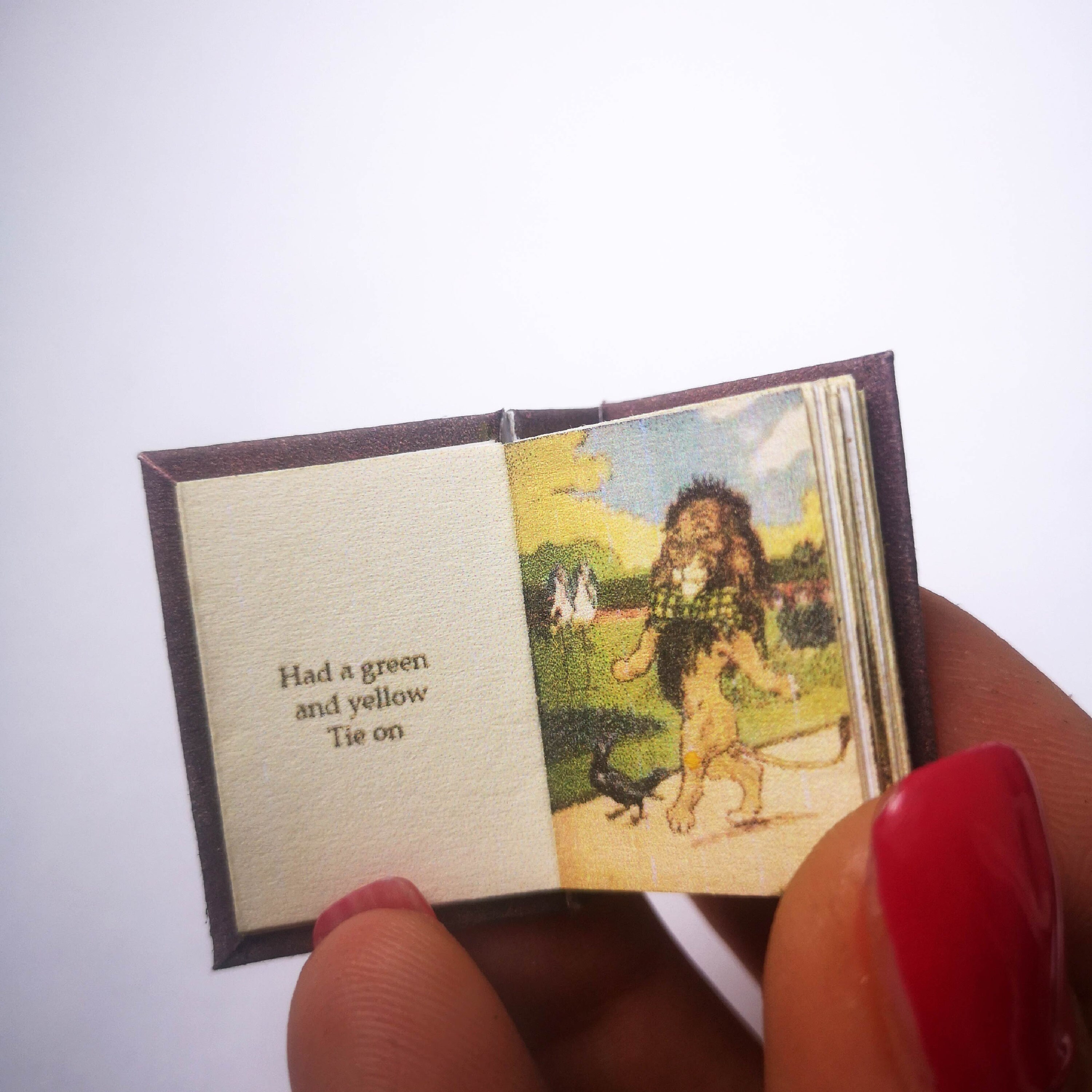 Miniature Books Readable Printable DIY Kit Set of Two Illustrated Johny ...