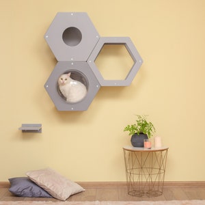 Wall cat set + Step as a GIFT Cat furniture wall Cat set furniture Cat decor Set of hexagons Cat tree Cat wall furniture Sleep cat Place