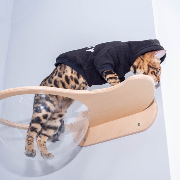 Hamac suspendu pour fenêtre, bol pour chat, maison de chat transparente, perchoir de fenêtre, cadeau sympa pour amoureux des chats, lit pour animal de compagnie, décoration pour chat, meubles modernes pour chat