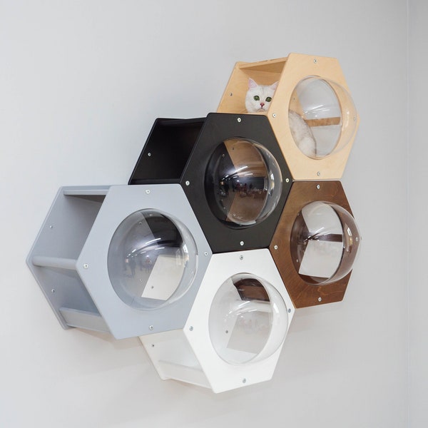 Cat Cabinet Wooden cat hexagon with a panoramic view Cat climbing Shelf Modern cat house Shelf decor Animal bed Wall mounted cat bed