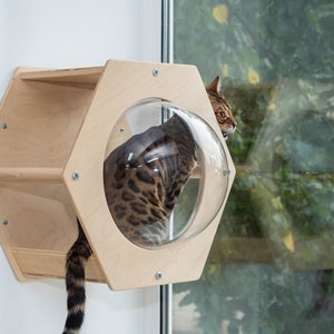 BUBBLE for Cat Villa cat Bed Cat house Window Cat dome Cat sleep Cave Fine pet House Modern decor Cat hexagon Shelf Cat bubble Shelf image 6