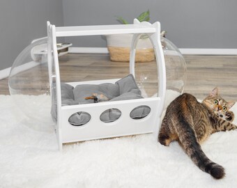 cool cat beds