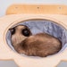 see more listings in the Cat bed section
