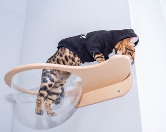 bubble window cat bed