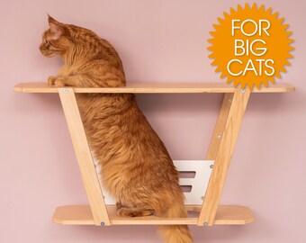 Interactive climbing shelf for large cats Katzenmöbel Cat ladder wall hanging Cat condo for large cats Cat bed shelf