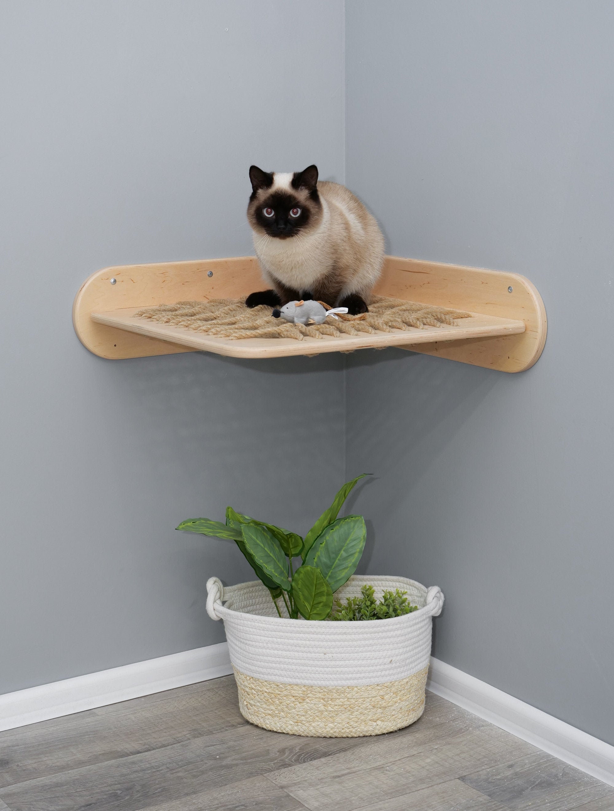 Cat wall bed Wooden pet shelf Cat shelf and bed Cat rope bed Etsy