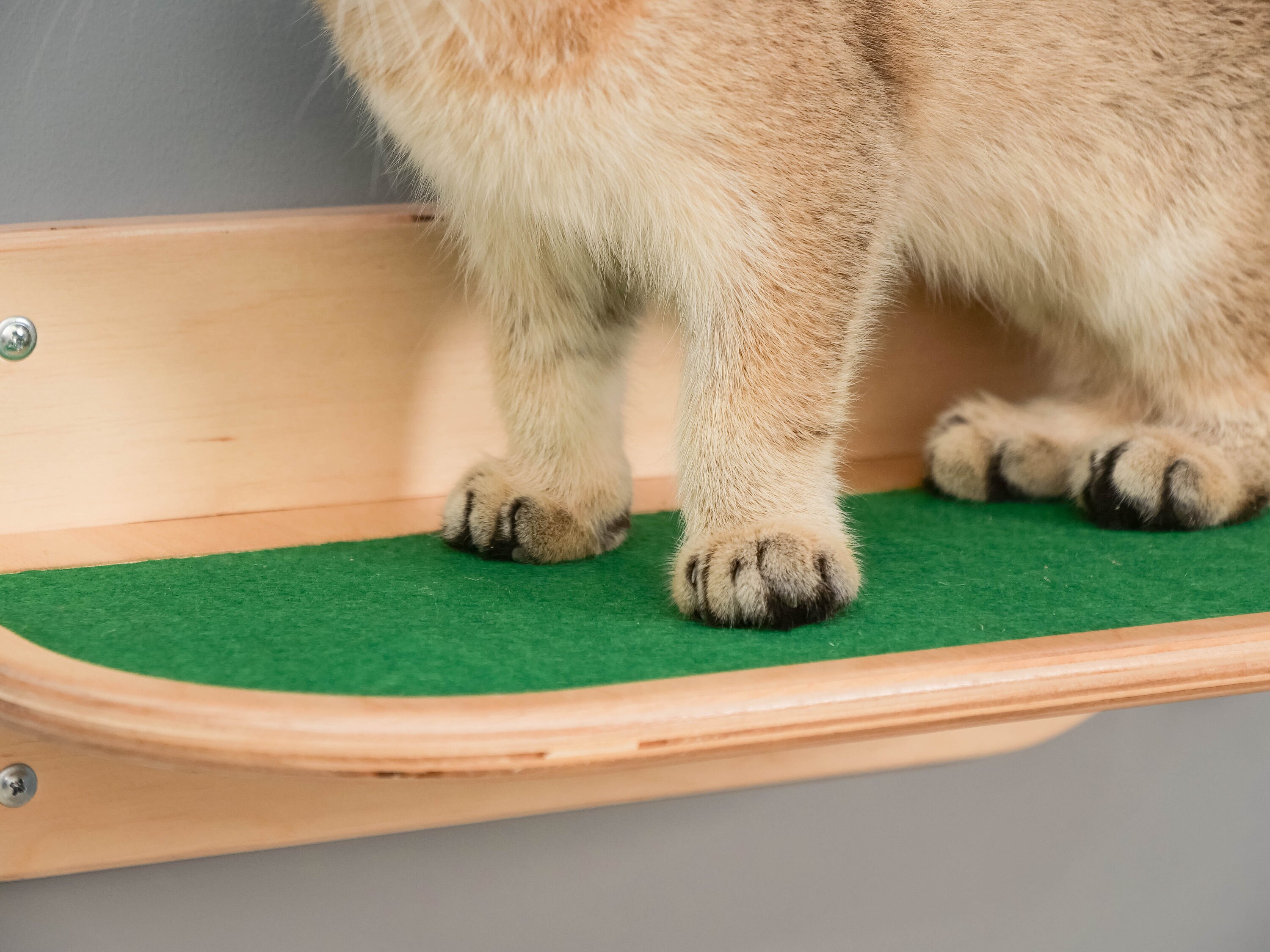 Cat Wall Climbing Shelf Catwalk Cat Wall Furniture Cat Shelves Etsy