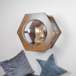 BUBBLE for Cat Villa cat Bed Cat house Window Cat dome Cat sleep Cave Fine pet House Modern decor Cat hexagon Shelf Cat bubble Shelf Dark Wood