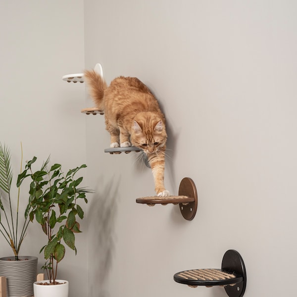 1 Leuk kattenopstapje voor aan de muur met natuurlijk touw Modern kattenrek Kattenkrabber Wandmeubel voor huisdieren Kattentrapje Kitty zitstok Handgemaakt wanddecor
