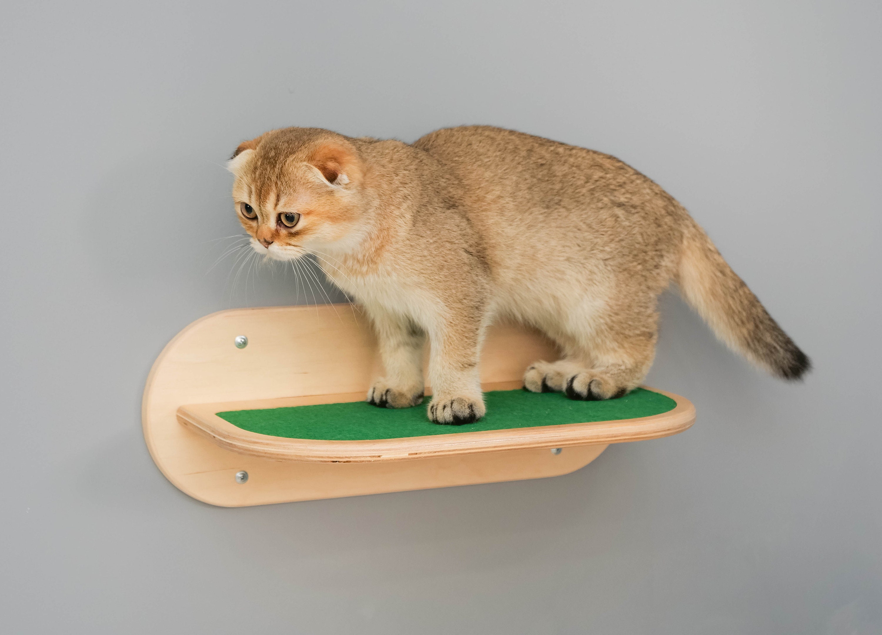 Cat Wall Climbing Shelf Catwalk Cat Wall Furniture Cat Shelves Etsy