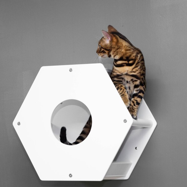 Grotte hexagonale pour chat Prix pour 1 article Maison pour chat faite à la main Étagère pour chat design contemporain Espace pour chat Perchoir mural pour chat Hexagone pour chat fermé