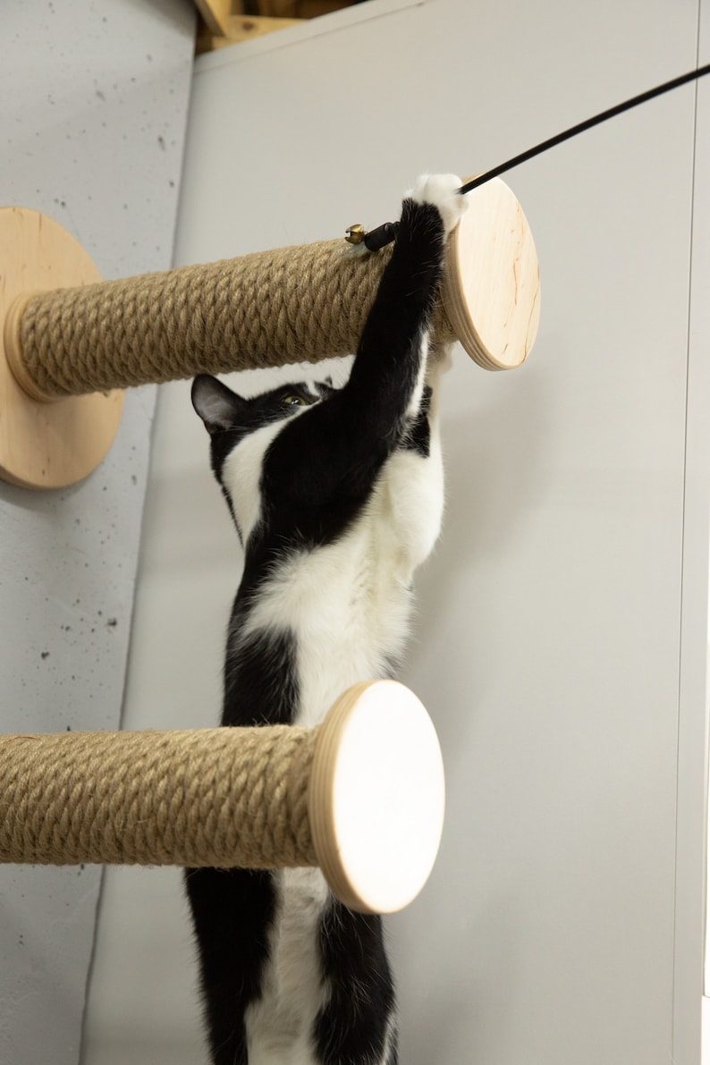 5 Cat Climbing Poles Set Wall Cat Scratcher Wall Mounted Etsy