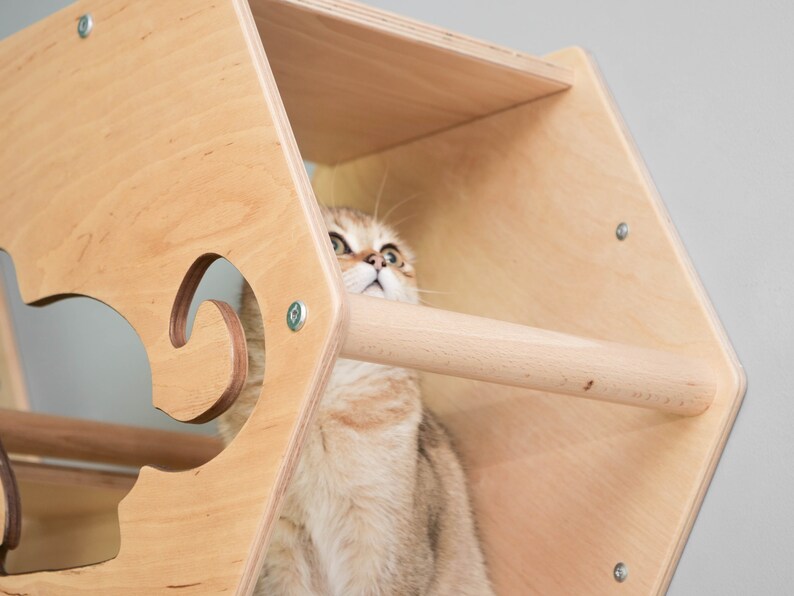 Cat Perch Modern Shelves for Cats Unique Cat Tree Etsy