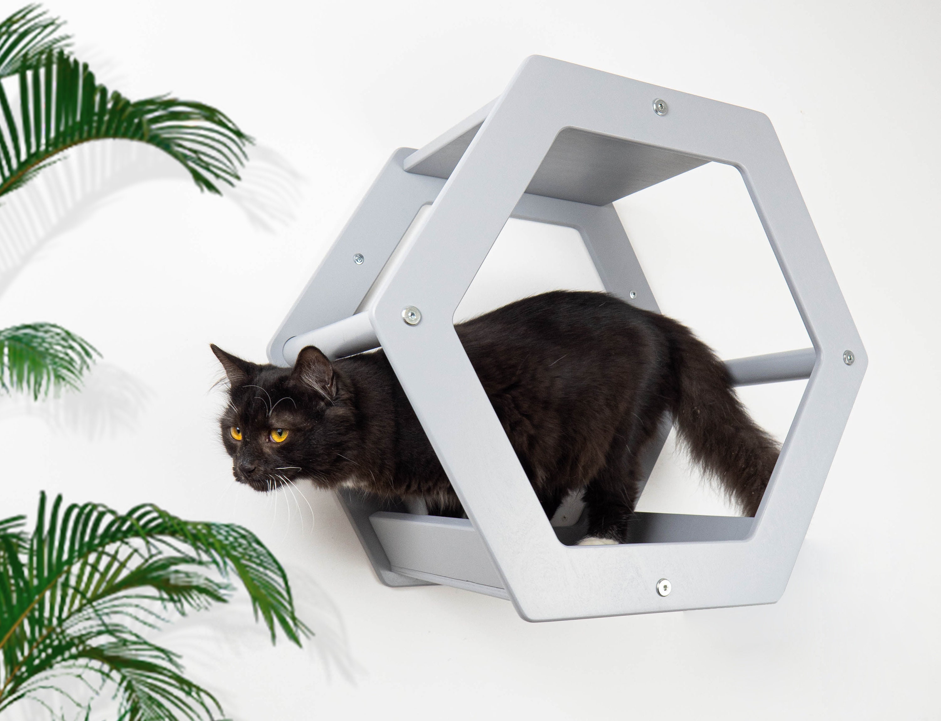 Cat shelf Cat hexagon Cat house modern Wooden cat Etsy